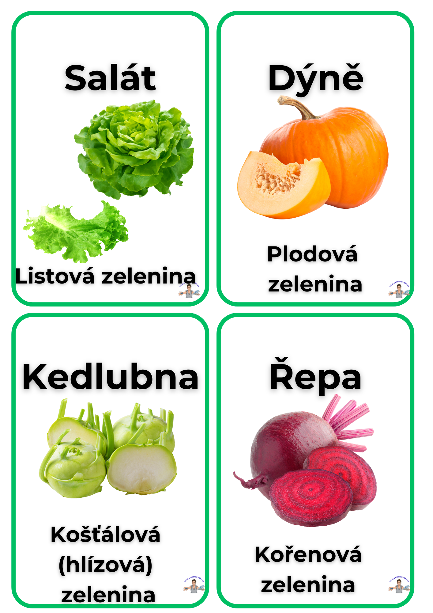 Ovoce a zelenina PRO: Botanika pod lupou - náhled 2
