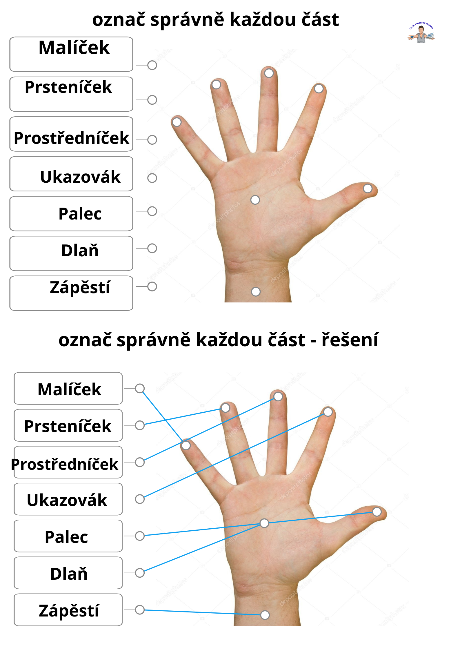 Lidské tělo: Velká cesta dovnitř nás - náhled 5