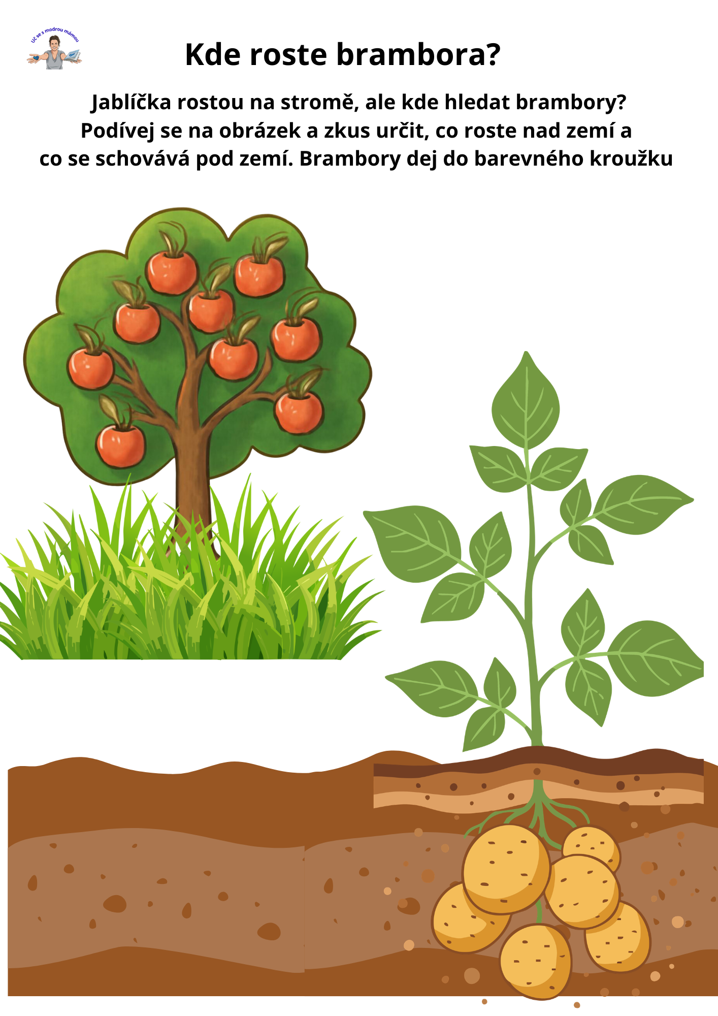 Od semínka na talíř - náhled 5