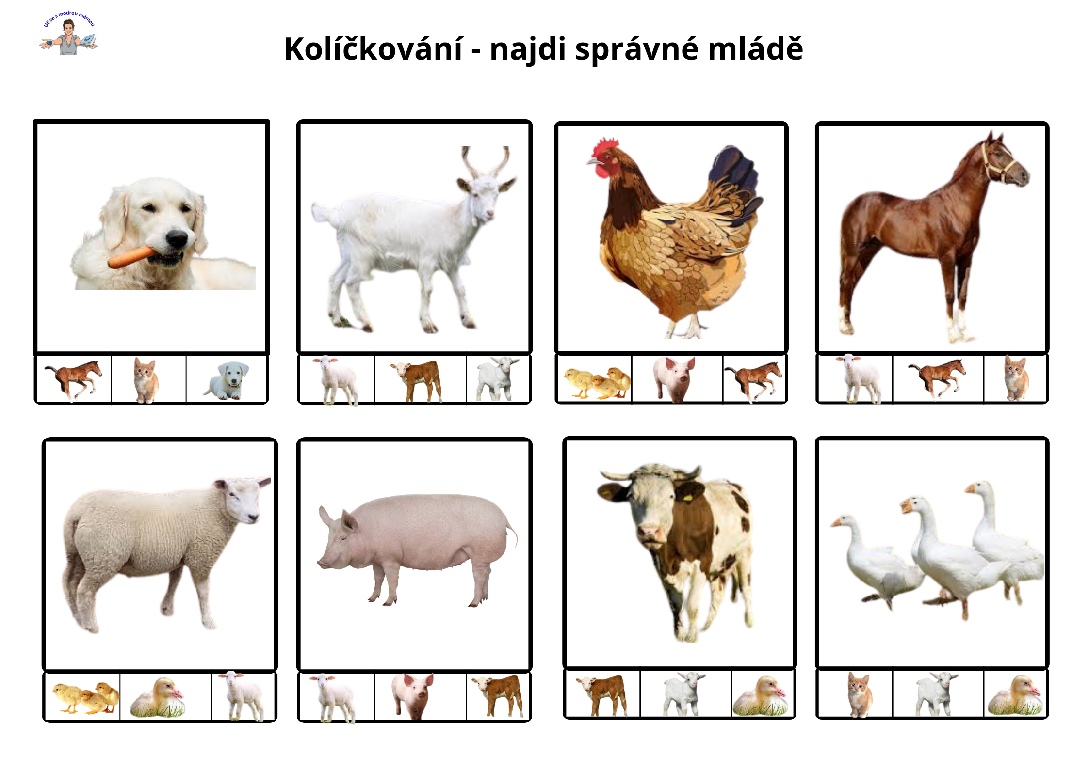 Domácí zvířata na farmě: Od zvuků až po stopy (Interaktivní sešit) - náhled 5