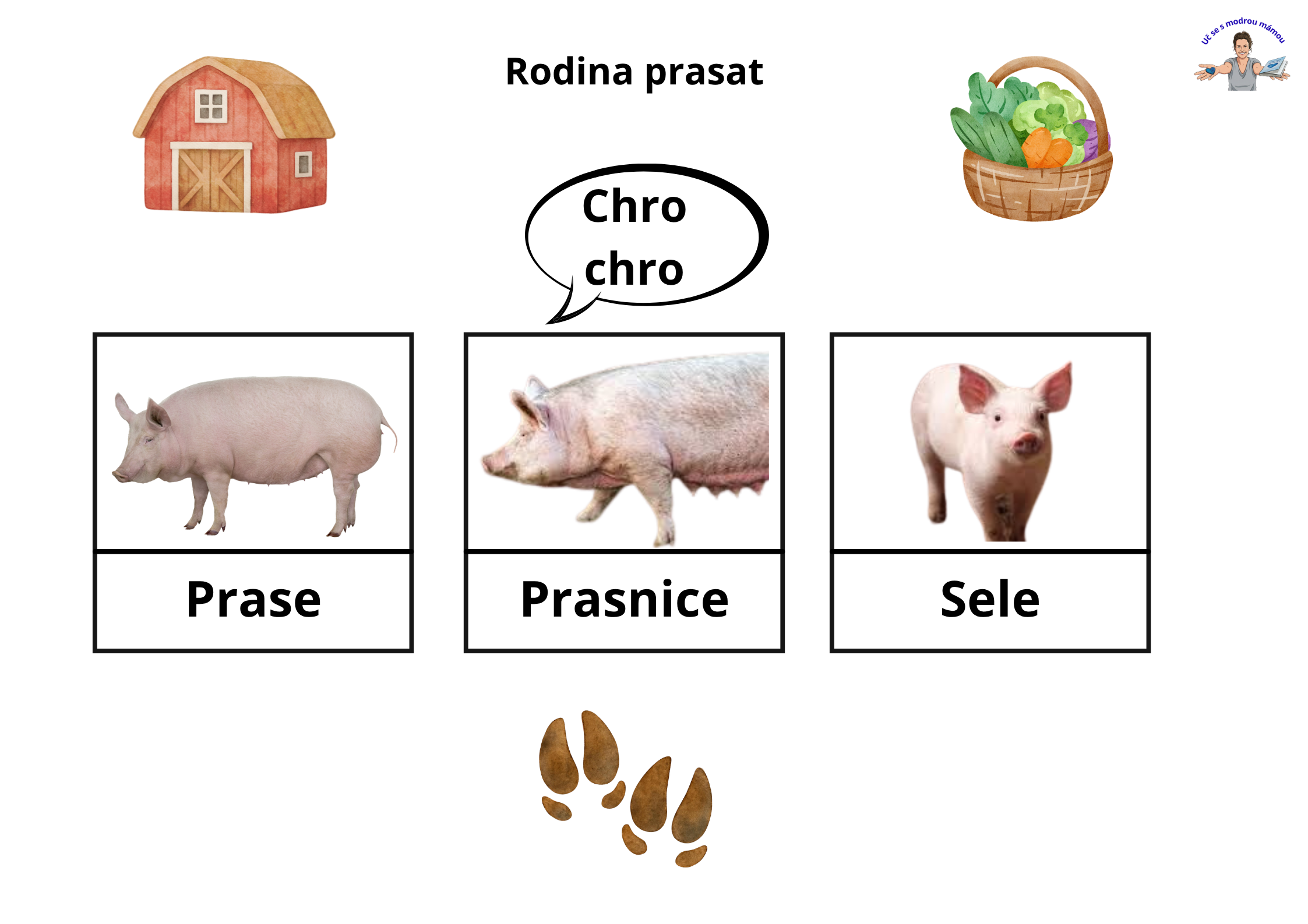 Domácí zvířata na farmě: Od zvuků až po stopy (Interaktivní sešit) - náhled 3