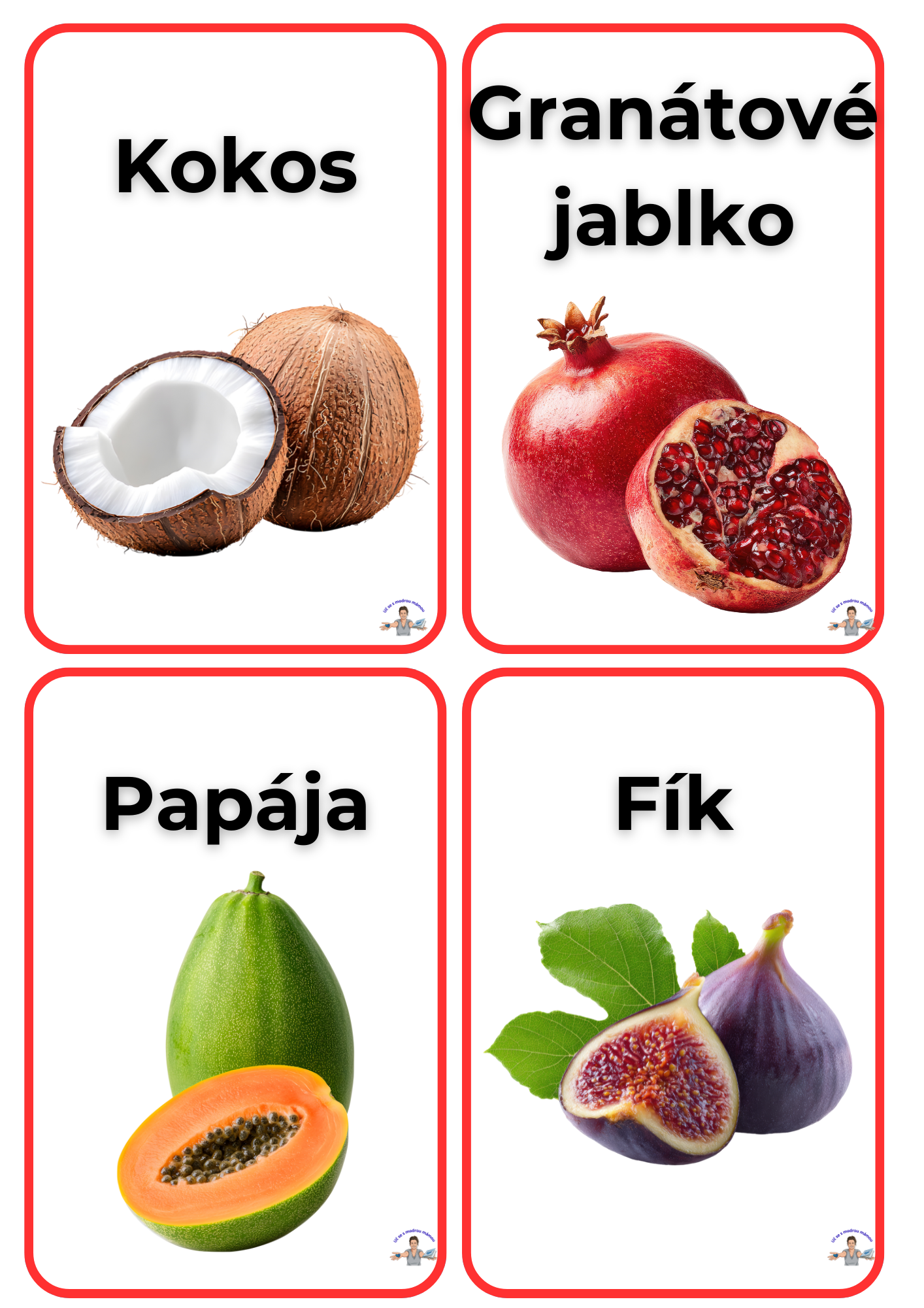 Poznáváme ovoce a zeleninu - náhled 3
