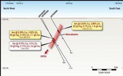 Schwabe Prospect drill section