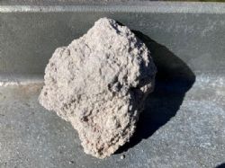 Figure 2: Samples collected for testing