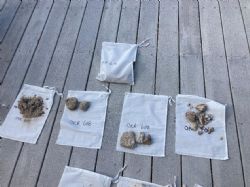 Figure 3: Samples collected for testing