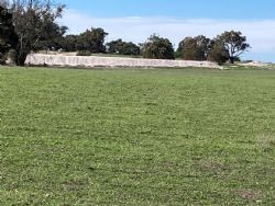 Typical feed stock dams located throughout the project area