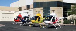 Rotor X Phoenix A600 Turbo helicopters 
