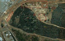 Figure 1 - Gravity Survey Grid Tailing Facilities and proposed extension