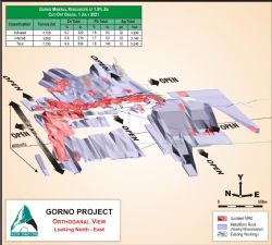 Figure 1: Orthogonal View of the Gorno MRE