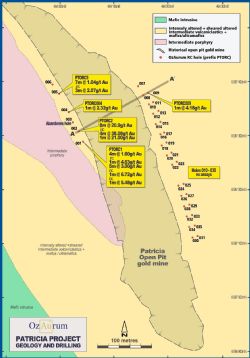 Figure 1: Patricia RC collar location plan and cross section line 10490N