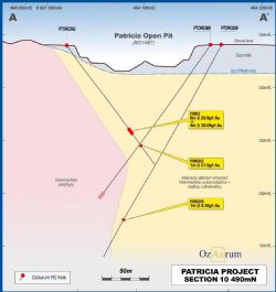 Figure 2: Patricia section 10490N