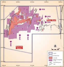 Figure 1: Exploration Licence with Exploration Target Areas