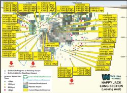 Figure 2: Happy Jack long section showing assay results