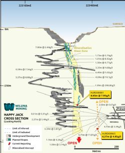 Figure 3: Happy Jack cross section showing high-tenor intercepts