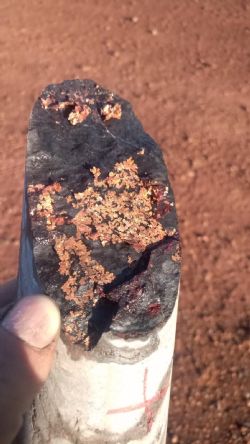 Figure 2: Hole 21NDMT001: 141.4m to 141.5m showing native copper and chalcocite