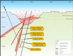Figure 2 Cross-section Pigeon 19260E