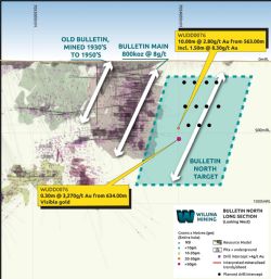 Figure 2. Bulletin North long section view showing the targeted shoot location 