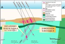Figure 3: Cross section at West Island Prospect