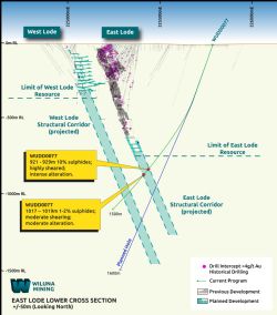 Figure 3. East & West Lower, cross section view showing WUDD0077 