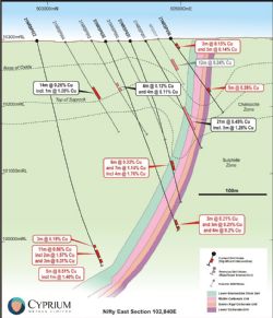 Figure 4: Nifty East drill hole section 102,840E