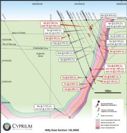 Figure 7: Nifty East drill hole section 102,960E