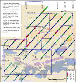 Figure 2: Project Plan soils results with four un-drilled gold anomalies