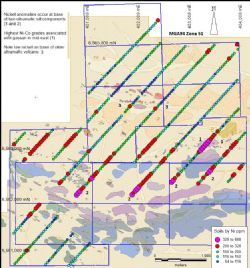 Figure 3: Project plan with soils finding two un-drilled nickel-cobalt anomalies