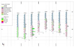 Figure 3: W-E drill section at Inca Far South showing the abundance of leucogranite