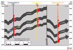 Schematic Section of the Carpentaria wells including the C-4V well.