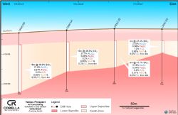 Figure 2: Tampu Deposit - Cross Section 6,655,250mN