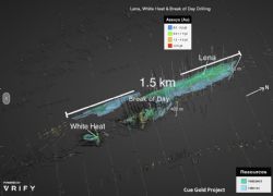 Figure 1: Schematic image of 3D interactive model for Cue Gold Project
