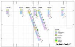 Figure 5: Turtle’s Neck NW-SE drill section.