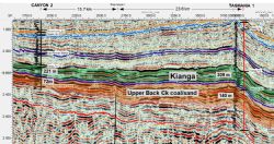 Figure 2: Seismic line through Canyon-2 and Tasmania-1