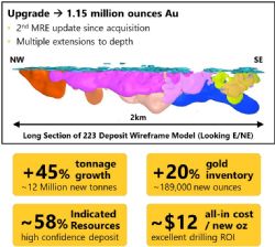 Mineral Resource Estimate