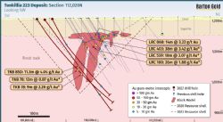 Fig 5 – Cross section 112,020N in northern Main Deeps target