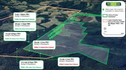 Figure 3: Satellite image of Cupim South Prospect