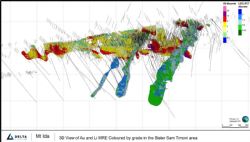 Figure 3: Oblique 3D view of drillholes and gold block models and Li bock models at Mt Ida