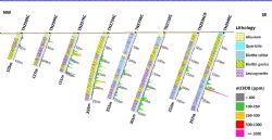 Figure 3: Barking Gecko North NW-SE Drill Section.