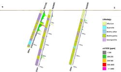 Figure 4: Barking Gecko North N-S Drill Section (479,220E).