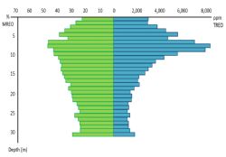Figure 3: Metre by Metre assay for FZ-RC-08