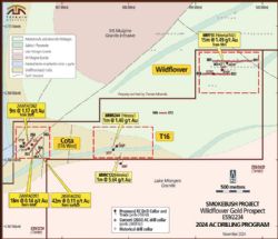Diagram 2: Drill collar location plan for the Wildflower project