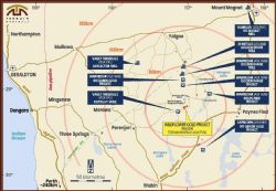 Diagram 5: The Wildflower project is located within the Yalgoo-Singleton Greenstone Belt