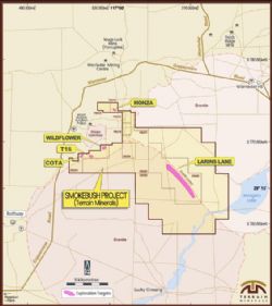 Diagram 7: The Smokebush project