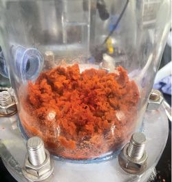 Figure 2 – Final product cobalt sulphate in the crystaliser