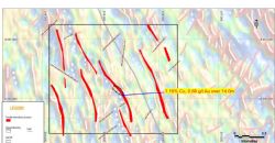 Figure 1: Field mapping interpretation showing pit assays