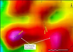 Figure 4: Completed diamond drill-holes at the Oval Target