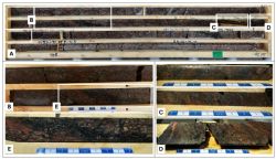 Figure 1: Core photographs of historical drillhole BJK76014