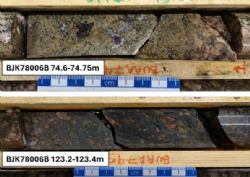 Figure 2: Close up core photographs of intervals of visible hematite