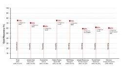 Figure 1: Heap Leach Project Peer Comparison
