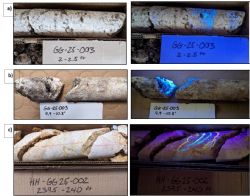 Figure 1: Sections of drill core from Drillholes 